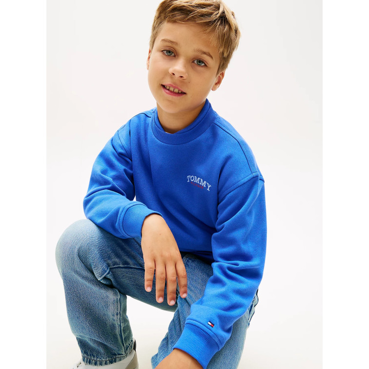 garçon singetype graphic sweatshirt c6h