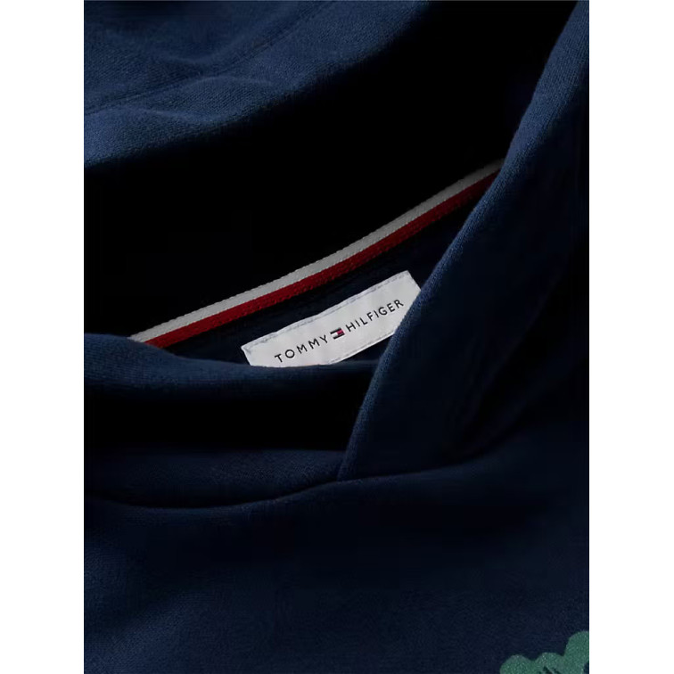 sweat-shirt garçon  tommy hilfiger flag grafitti hoodie