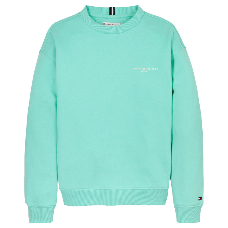 unisex mini corp c-neck sweatshirt l6z