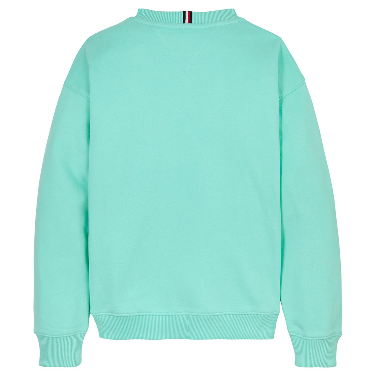 unisex mini corp c-neck sweatshirt l6z