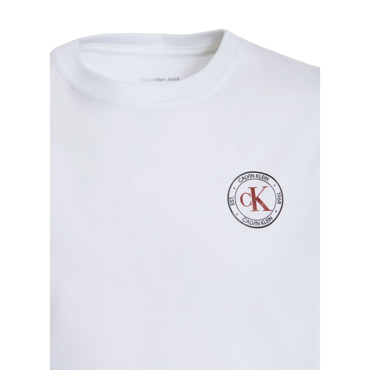 t-shirt garçon  calvin klein b ck small chest circle ss t-s