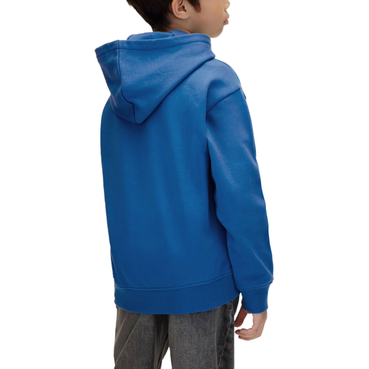 sweat-shirt garçon  calvin klein b calvin ck circle hoodie