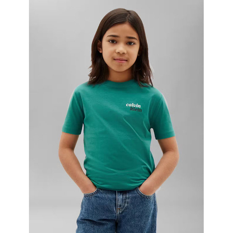 t-shirt garçon  calvin klein b front back print tee ss