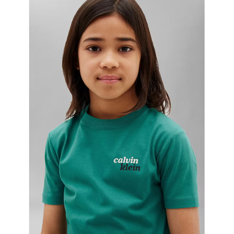 t-shirt garçon  calvin klein b front back print tee ss