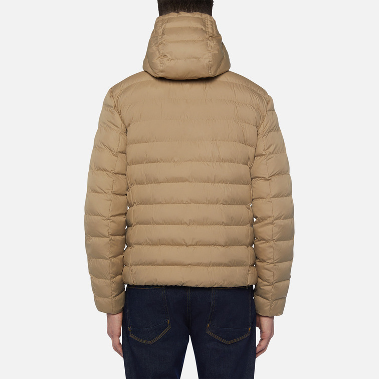 cazadora homme  geox m dennie