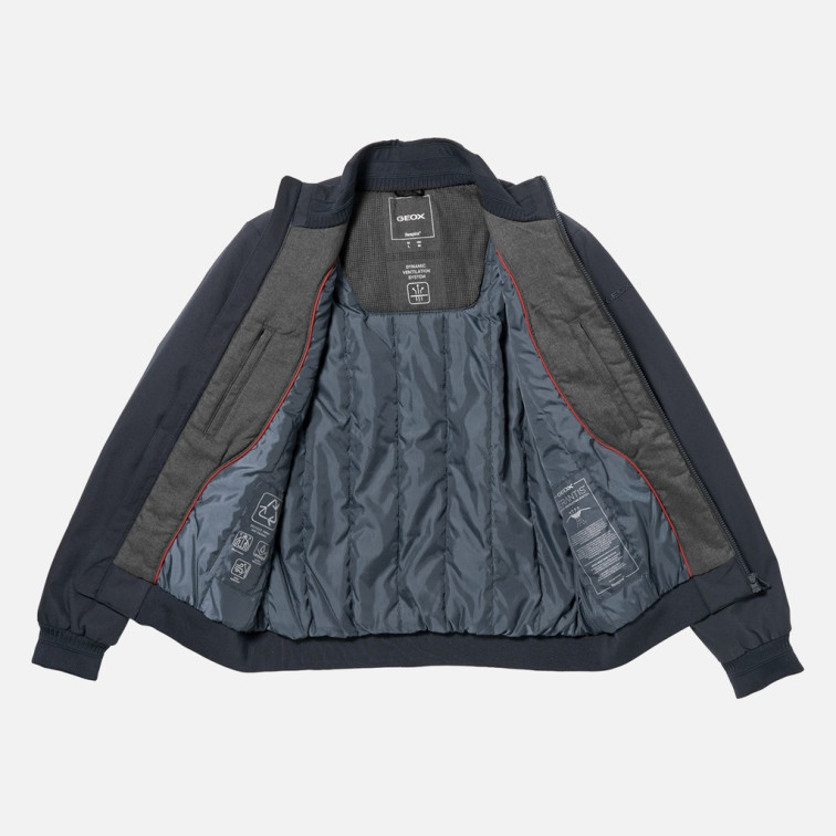 cazadora homme  geox m vincit