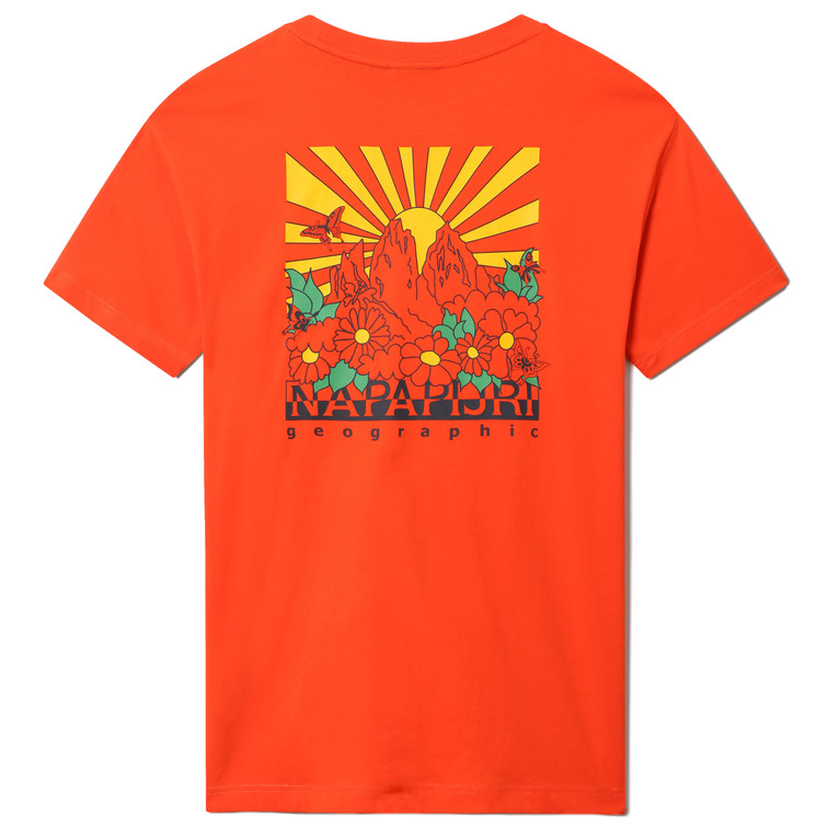 t-shirt homme  napapijri s-plan ss