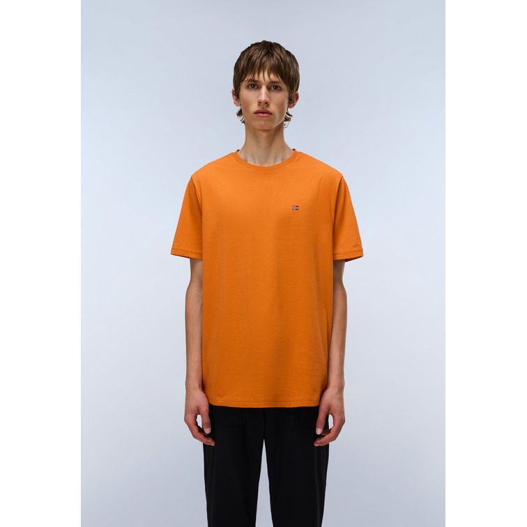 t-shirt homme  napapijri salis ss sum