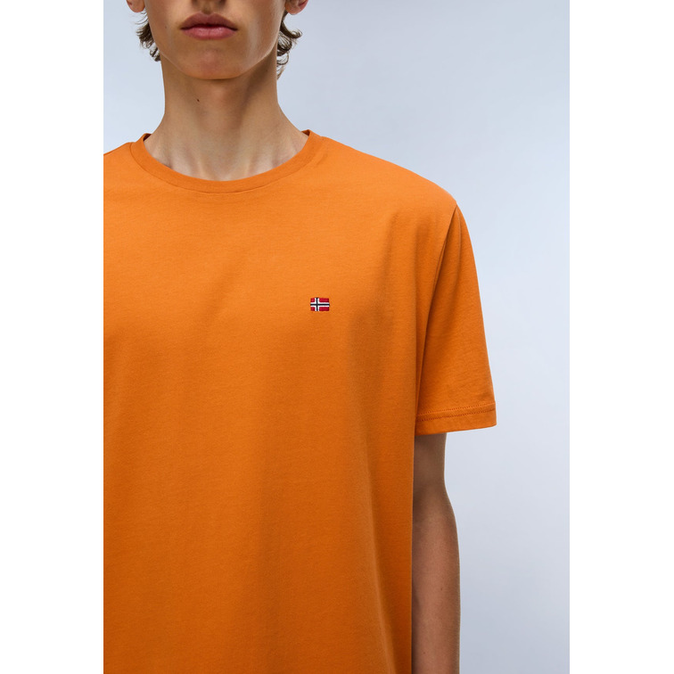 t-shirt homme  napapijri salis ss sum