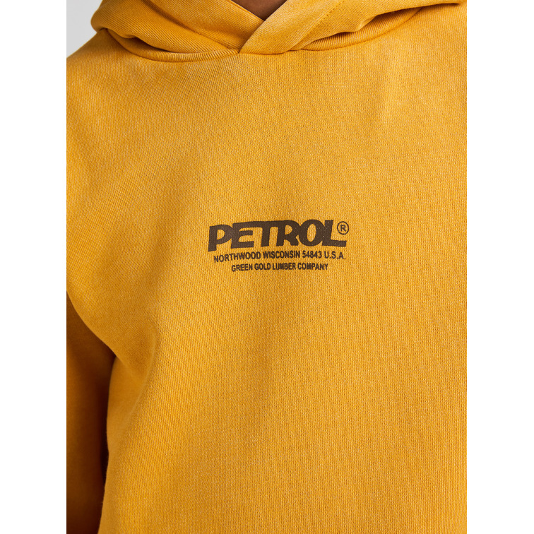 sweat-shirt garçon  petrol industries boys sweater hooded print
