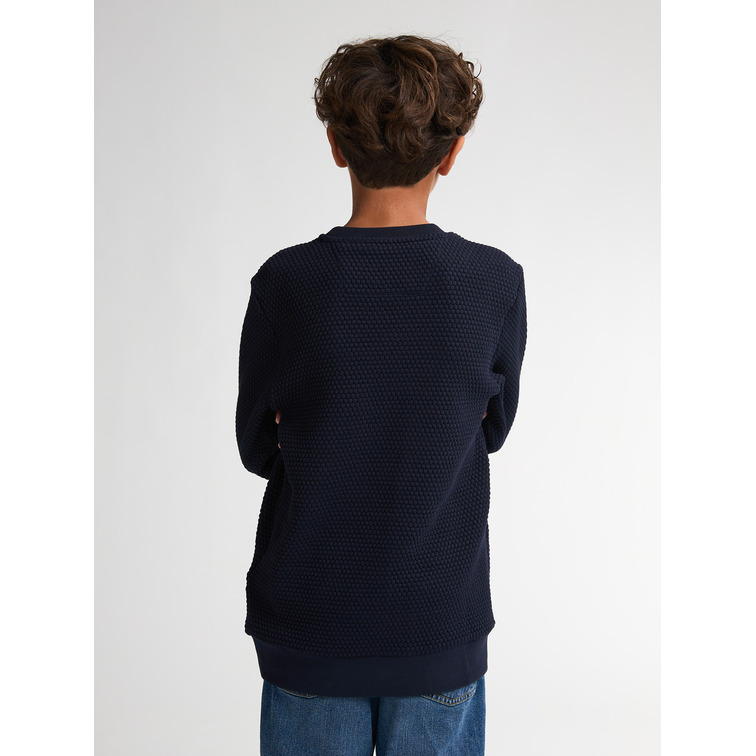maillot garçon  petrol industries men sweater round neck