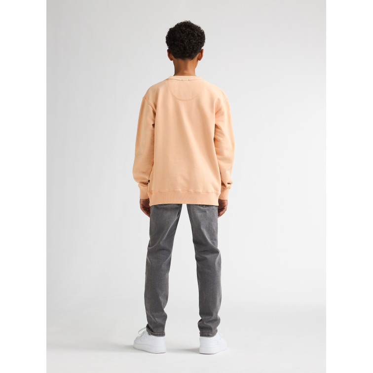 sweat-shirt garçon  petrol industries boys sweater round neck print