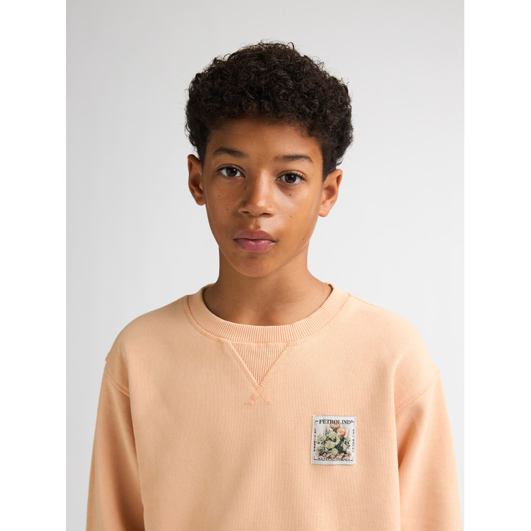 sweat-shirt garçon  petrol industries boys sweater round neck print