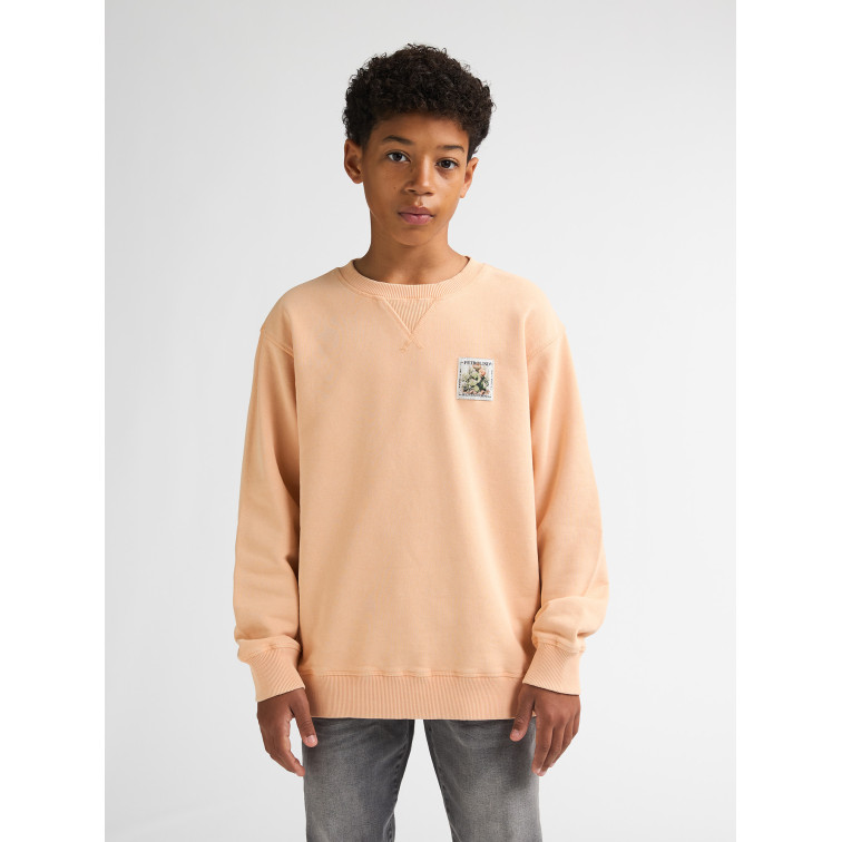 sweat-shirt garçon  petrol industries boys sweater round neck print