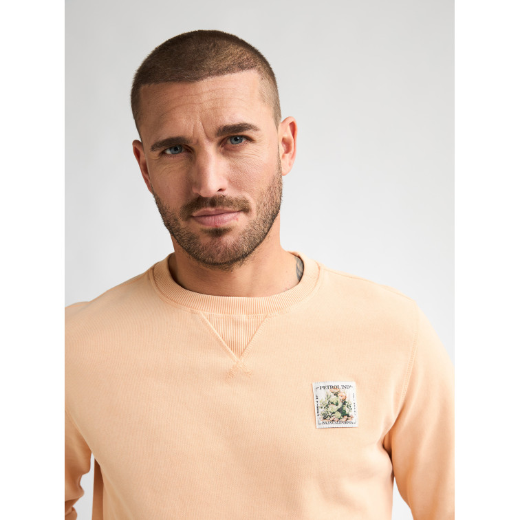 sweat-shirt homme  petrol industries men sweater round neck