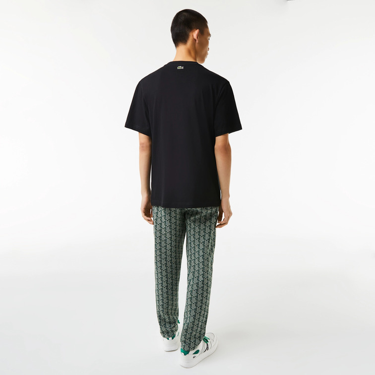 t-shirt homme  lacoste tee-shirt