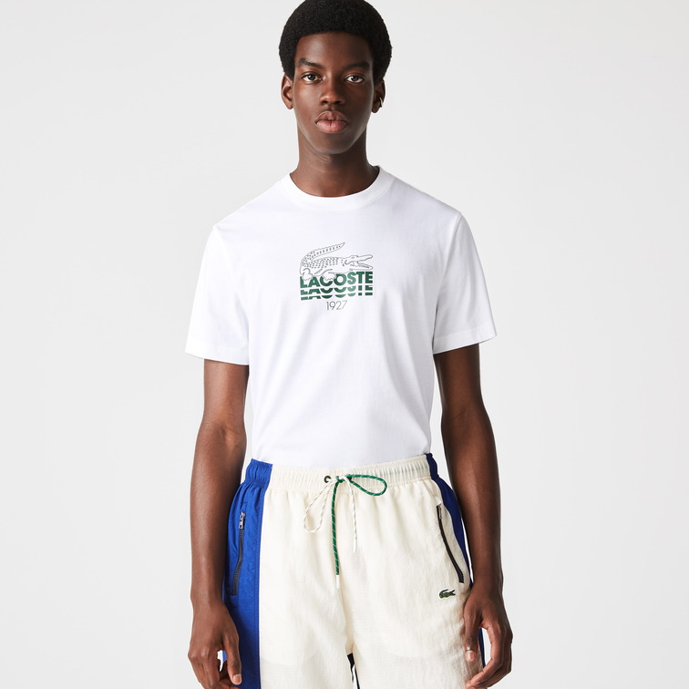 t-shirt lacoste homme logo