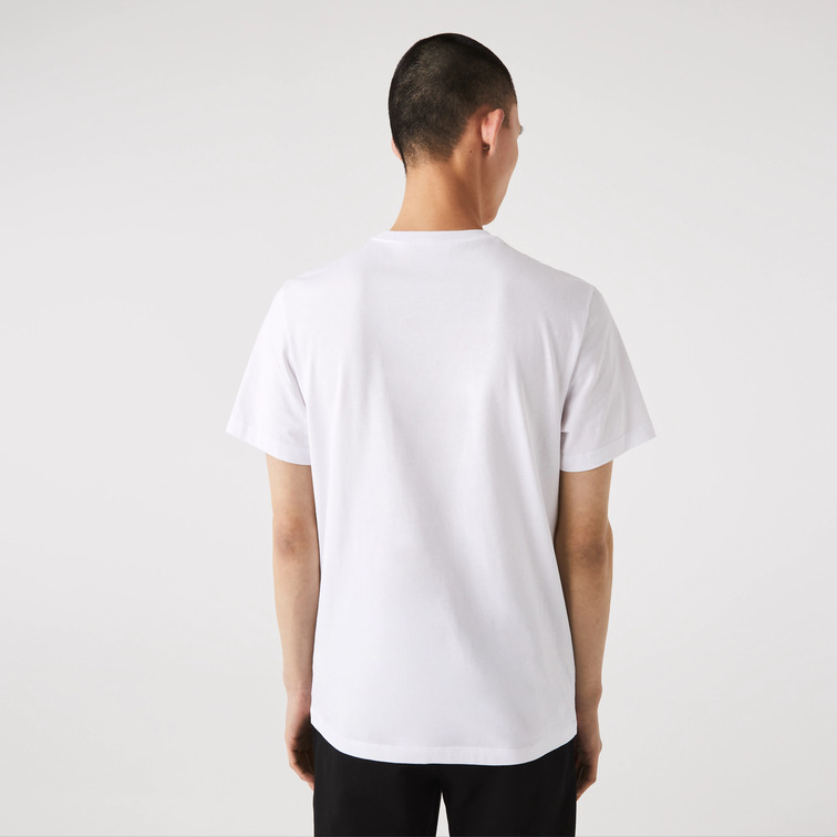 t-shirt homme  lacoste tee-shirt