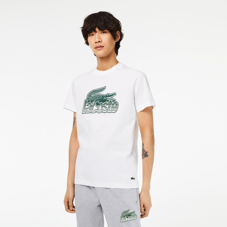 t-shirt homme  lacoste tee-shirt
