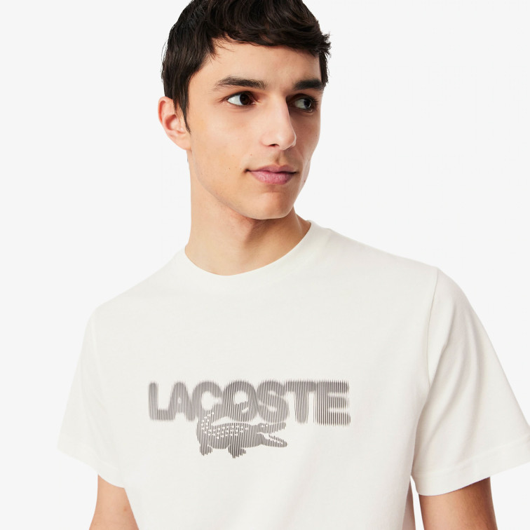t-shirt homme  lacoste tee-shirts & cols roules