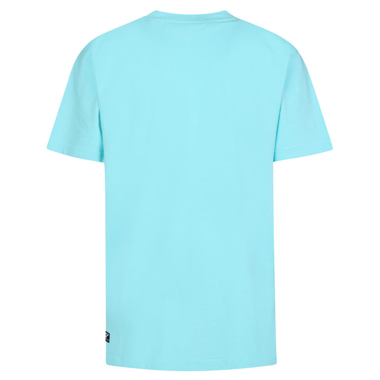 t-shirt garçon  petrol industries boys t-shirt ss classic print