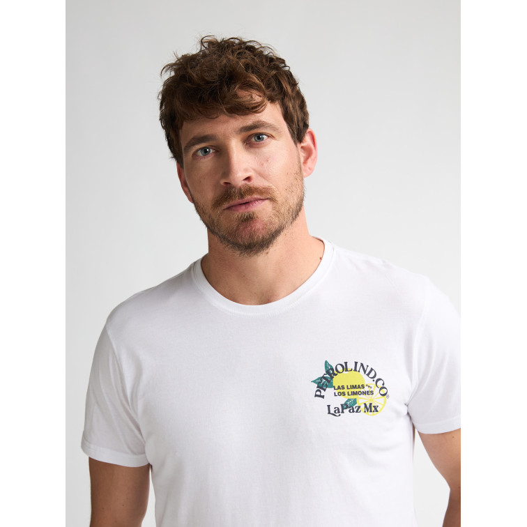 t-shirt homme  petrol industries men t-shirt ss classic print