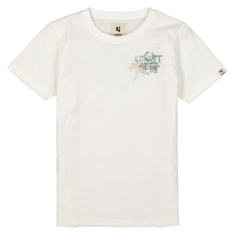 garçon d33601_boys t-shirt ss 53