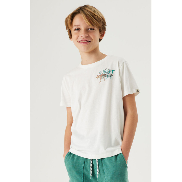 garçon d33601_boys t-shirt ss 53