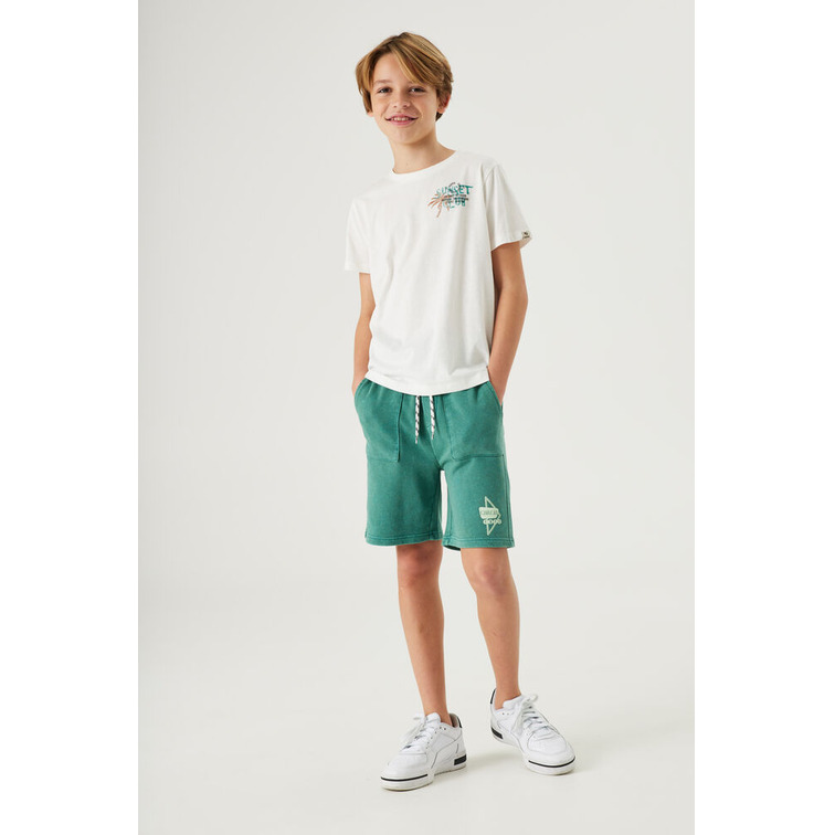 garçon d33601_boys t-shirt ss 53