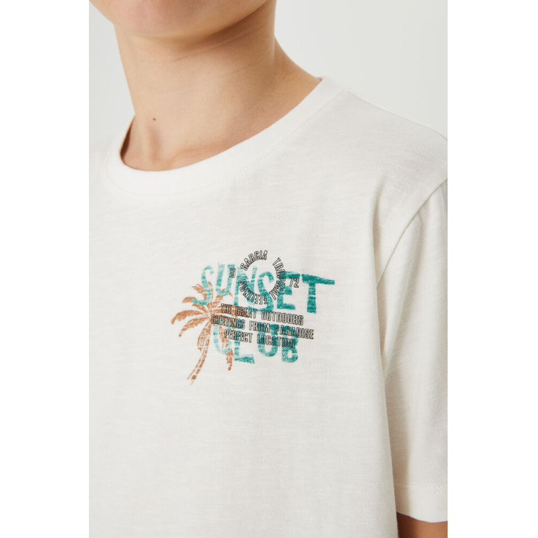 garçon d33601_boys t-shirt ss 53