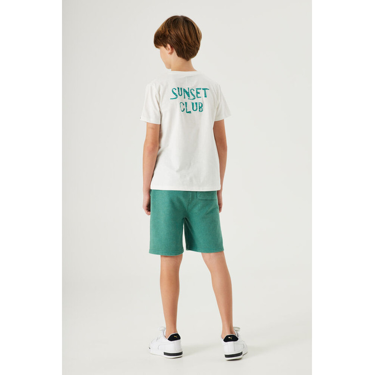 garçon d33601_boys t-shirt ss 53