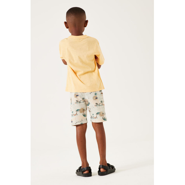 garçon d35718_boys short 2943
