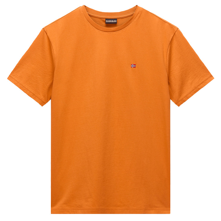 t-shirt homme  napapijri salis ss sum