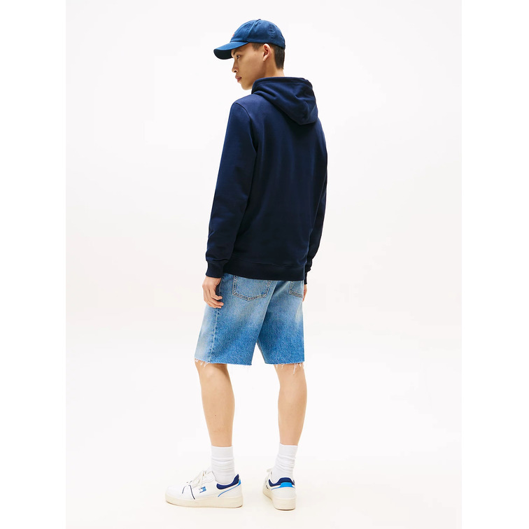 homme tjm reg pop clr flag hoodie ex c1g