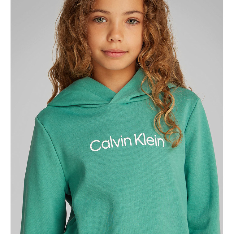 sweat-shirt   calvin klein inst. logo reg. terry hoodie