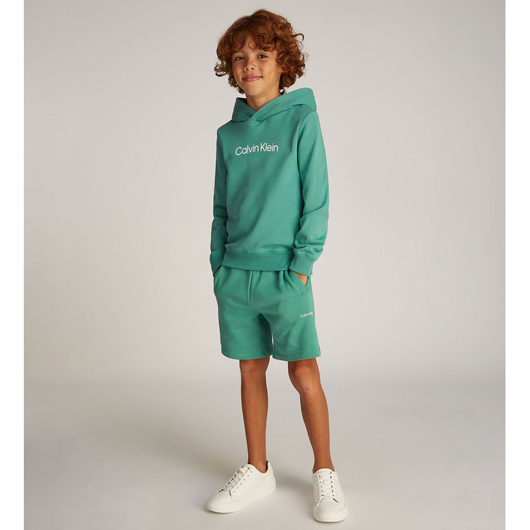 sweat-shirt   calvin klein inst. logo reg. terry hoodie