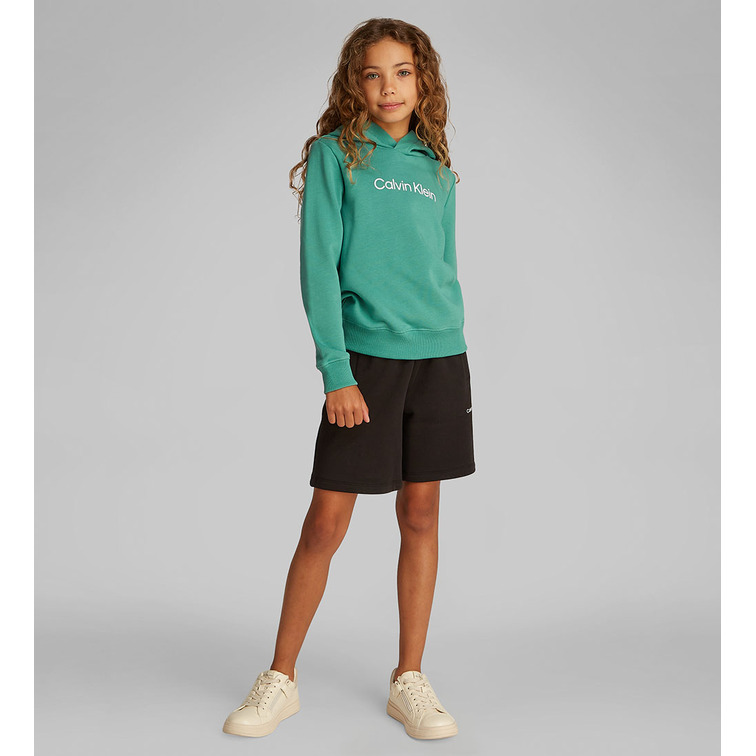 sweat-shirt   calvin klein inst. logo reg. terry hoodie
