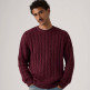 maillot homme  levi's laurel crew cable neps