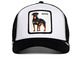 homme alpha dog whi