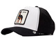 homme alpha dog whi