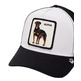 homme alpha dog whi