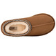botte femme  ugg w tasman ii