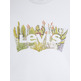 t-shirt femme levis the perfect tee batwing desert