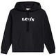 sweat-shirt femme levis graphic standard hoodie hoodie