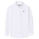 chemise garçon  silbon chemise sport kids clasica oxfo