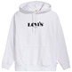 sweat-shirt homme  levis t2 relaxed graphic po mv logo