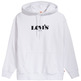 sweat-shirt homme levis t2 relaxed graphic po mv logo