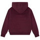 sweat-shirt fille  levi's lvg batwing patch hoodie