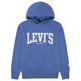 sweat-shirt garçon  levi's lvb the great highway hoodie