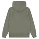 sweat-shirt garçon  levi's lvb mini batwing pull over hoo